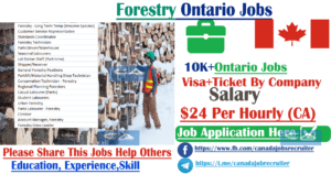 forestry-ontario-jobs