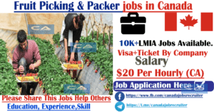 fruit-picking-packer-jobs-in-canada