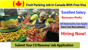 fruit-packing-job-in-canada-with-free-visa