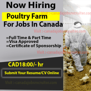 poultry-farm-jobs-in-canada