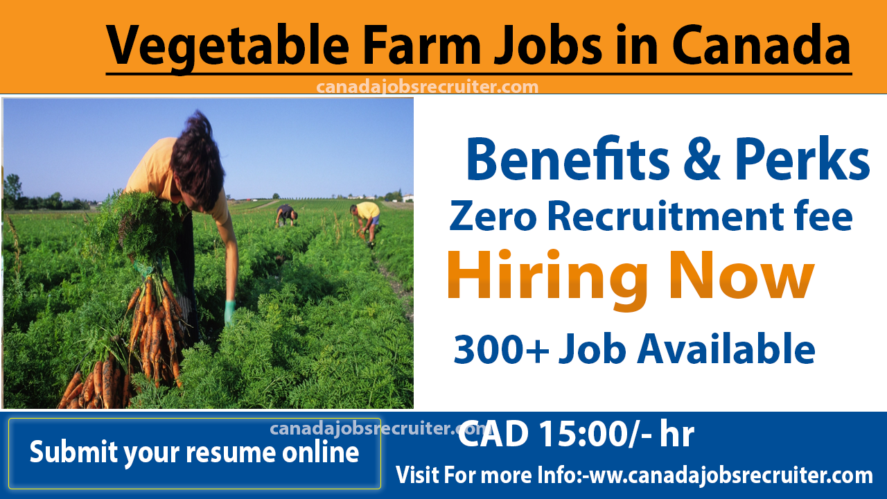 vegetable-farm-jobs-in-canada