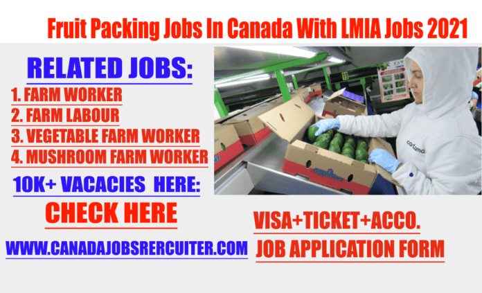 Fruit Packing Jobs In Canada With Lmia Jobs 2022 With Salary