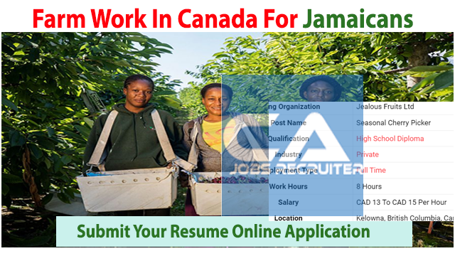 urgent-farm-work-in-canada-for-jamaicans-100-jobs-apply-online