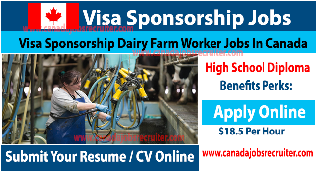 Visa Sponsorship Dairy Farm Worker Jobs In Canada [ Apply Online