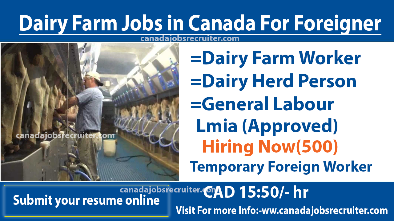 dairy-farm-jobs-in-canada-for-foreigner