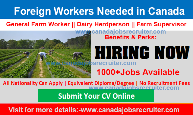 Foreign Workers Needed in Canada 2023 [500+Jobs Available] Apply Online