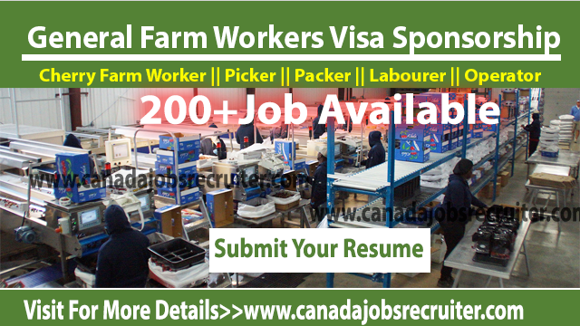 general-farm-workers-visa-sponsorship
