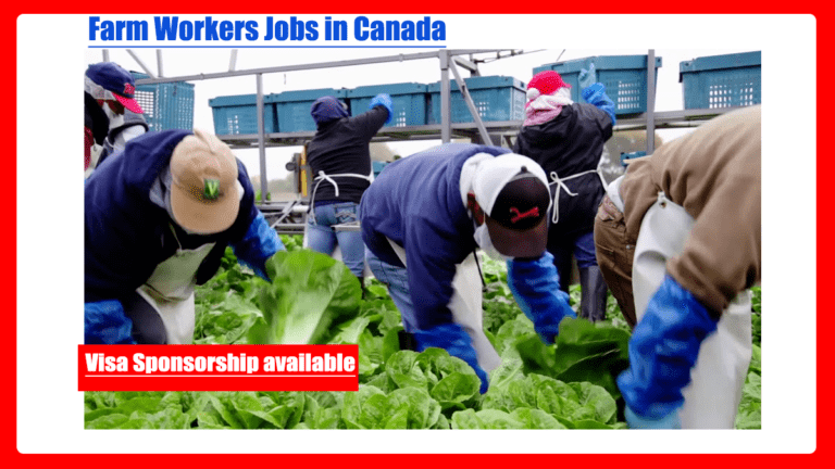 Apply for Farm Work in Canada 2023[7000+ Job Available – Visa Sponsorship