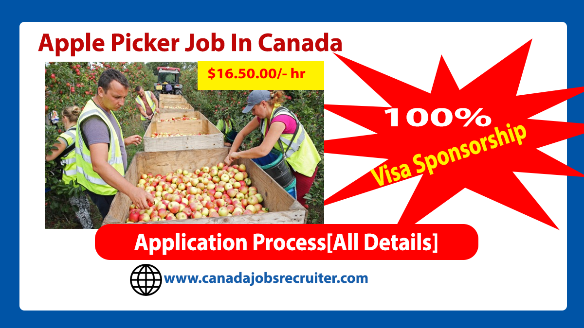 apple-picker-job-with-visa-sponsorship-in-canada