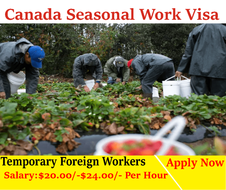 Canada Seasonal Work Visa 2023[200+Job Opening Now