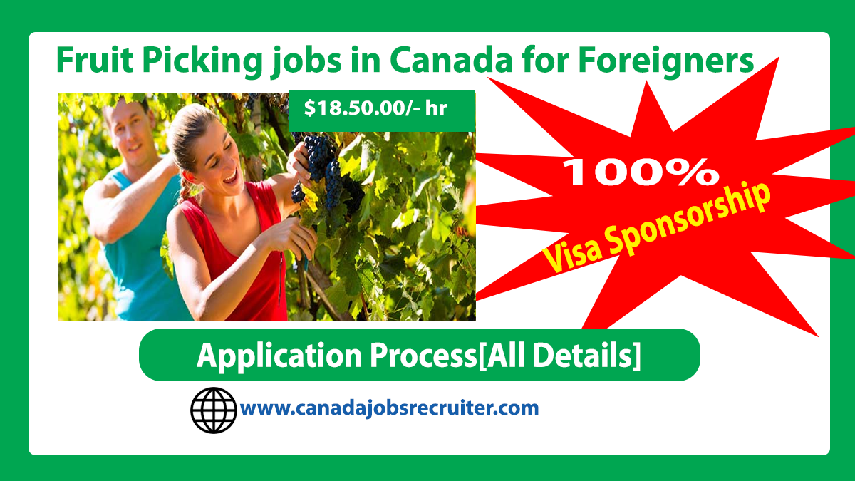 fruit-picking-jobs-in-canada-for-foreigners