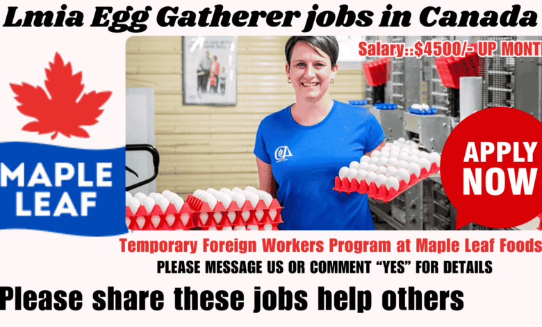 Lmia Egg Gatherer jobs in Canada