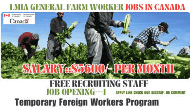 Lmia general farm worker jobs in Canada