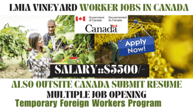 lmia vineyard worker jobs in Canada