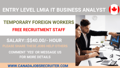 Entry level Lmia it business analyst jobs in Canada