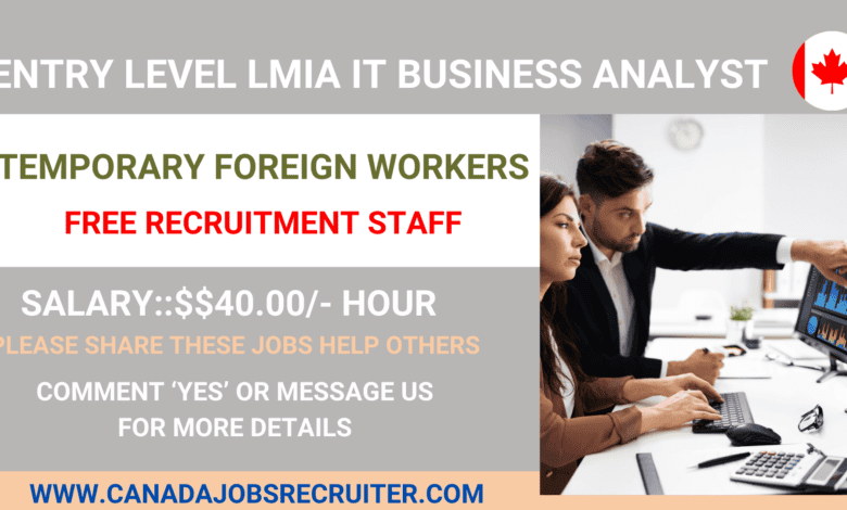 Entry level Lmia it business analyst jobs in Canada