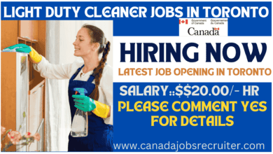 Light duty cleaner jobs in Toronto